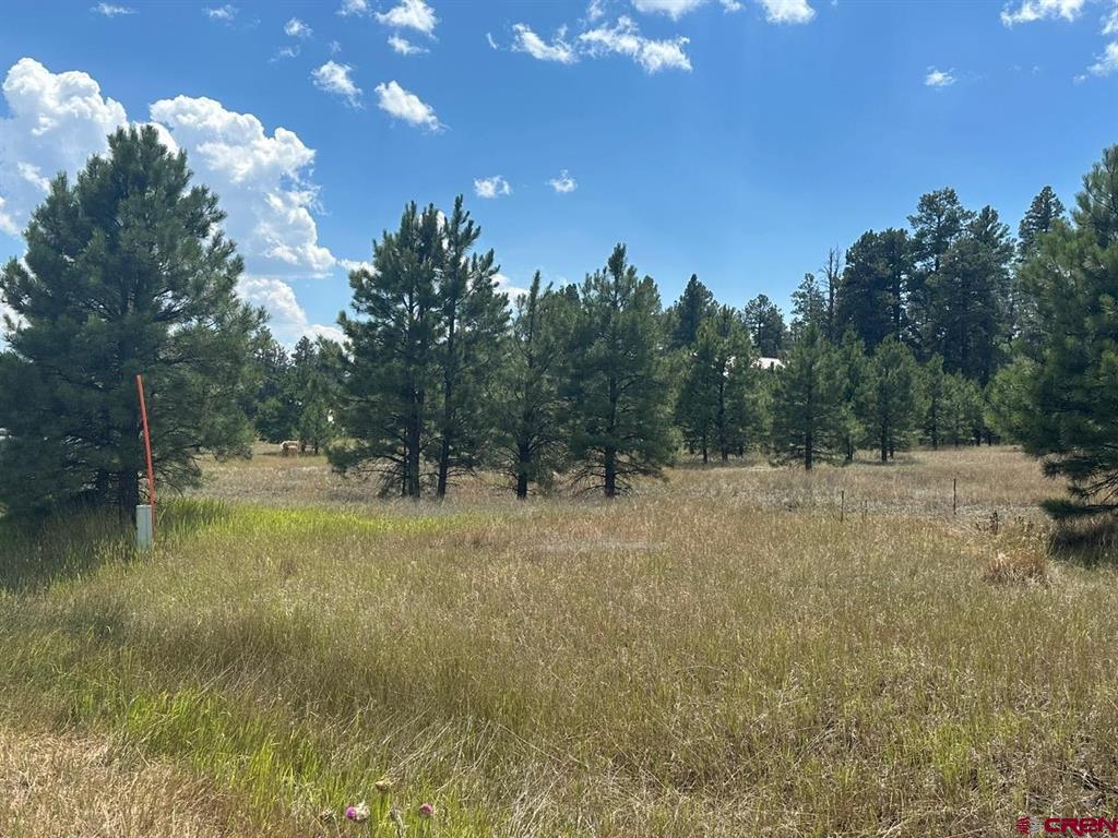 272 Hills Circle Pagosa Springs CO 81147