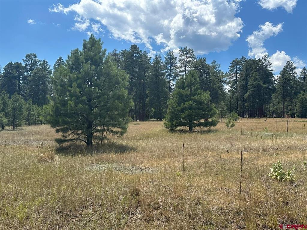 272 Hills Circle Pagosa Springs CO 81147
