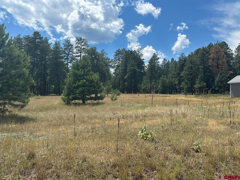 272 Hills Circle Pagosa Springs CO 81147