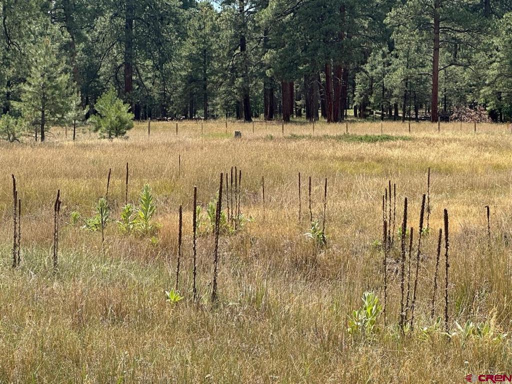 272 Hills Circle Pagosa Springs CO 81147