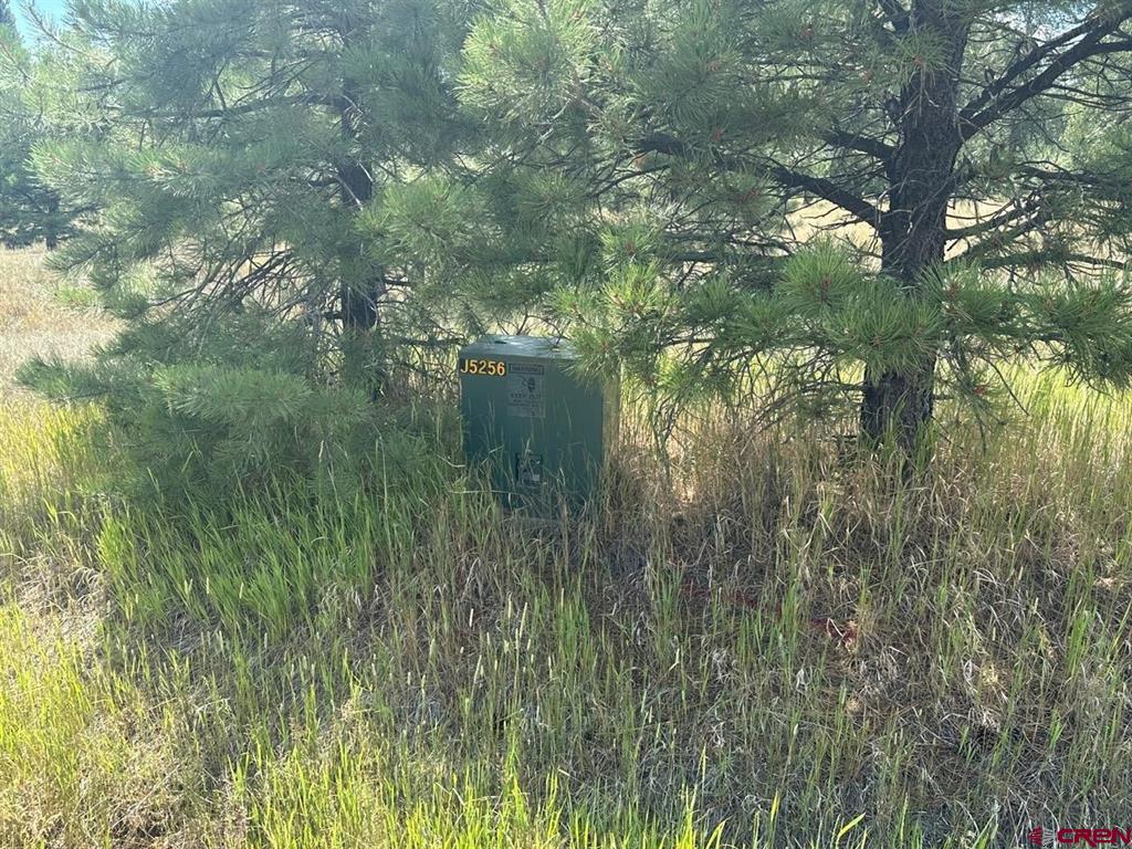 272 Hills Circle Pagosa Springs CO 81147