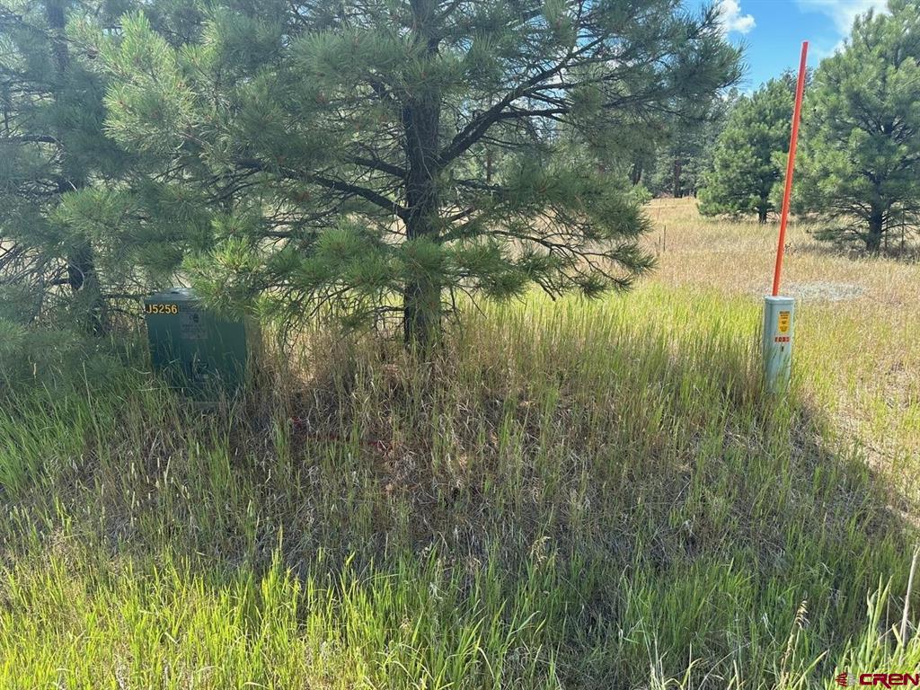 272 Hills Circle Pagosa Springs CO 81147