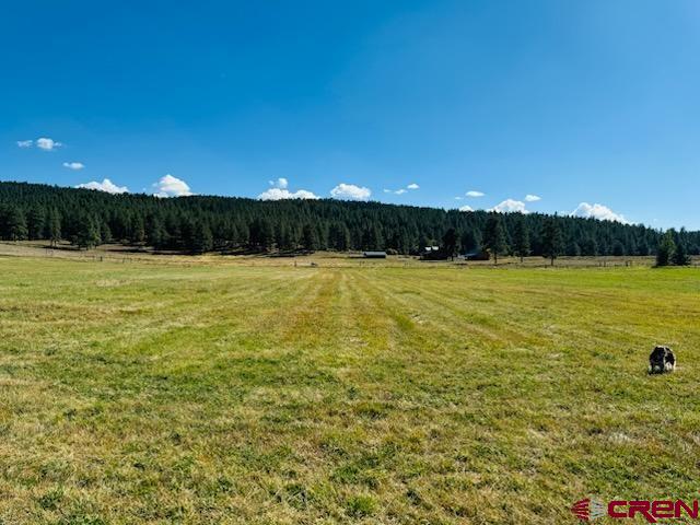 Tbd Stallion Place Pagosa Springs CO 81147