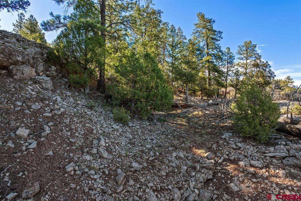 557 Glacier Cliff Drive Durango CO 81301