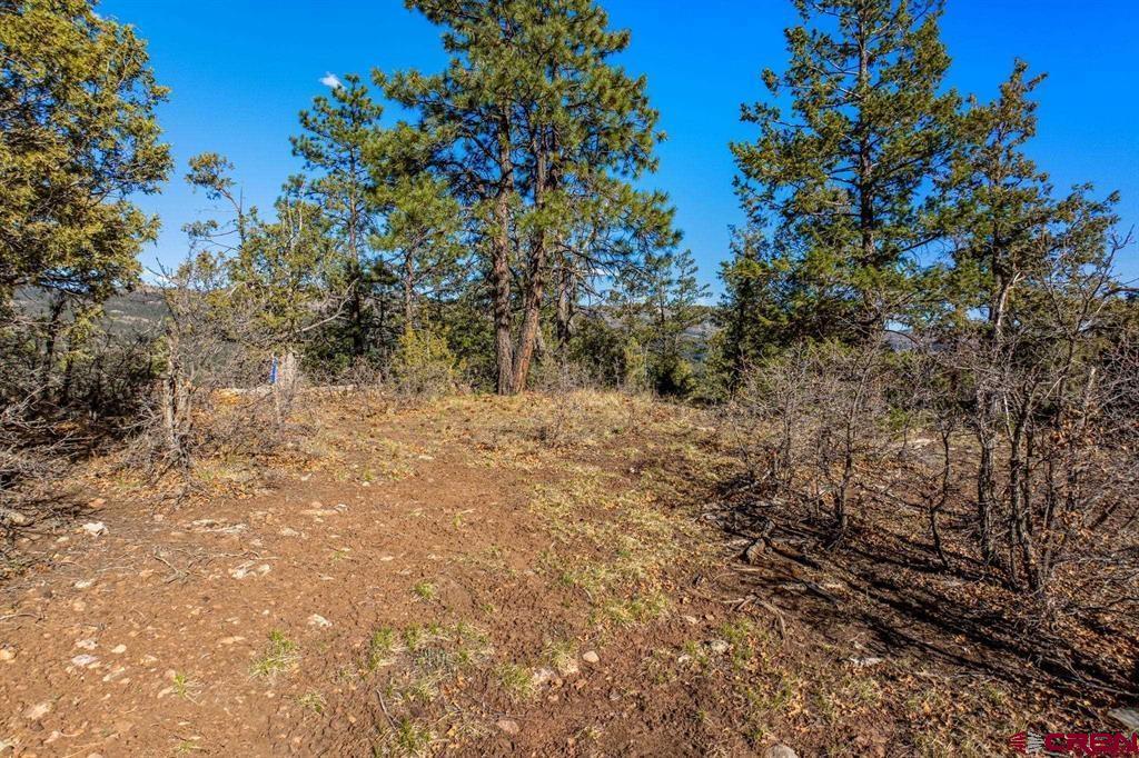557 Glacier Cliff Drive Durango CO 81301