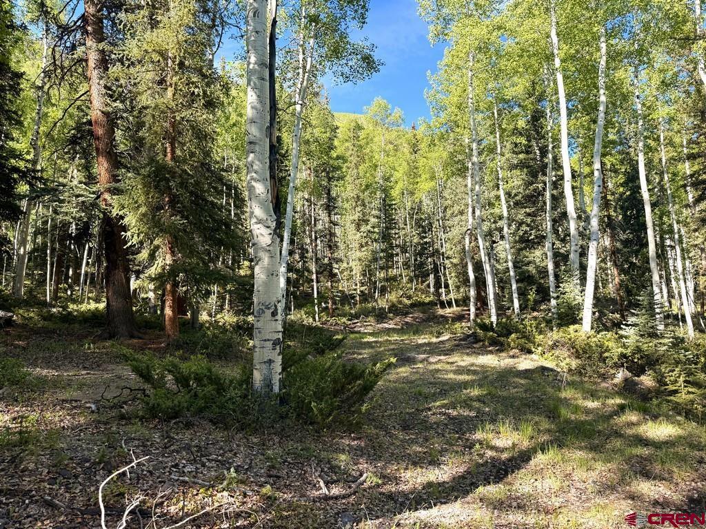 20 Alpine Vista Way Lake City CO 81235