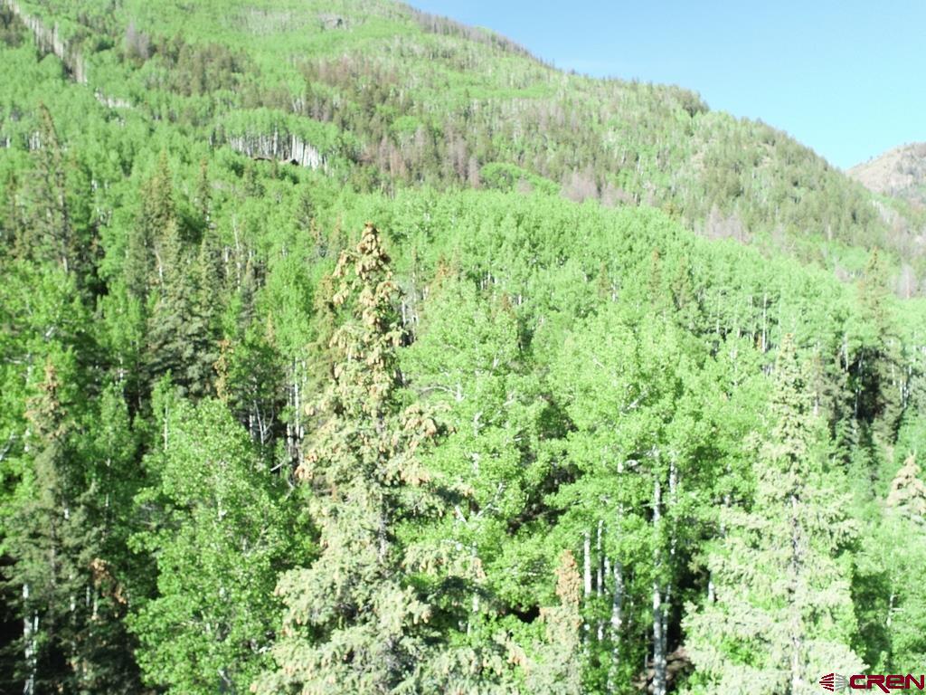 20 Alpine Vista Way Lake City CO 81235