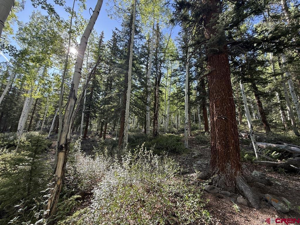 20 Alpine Vista Way Lake City CO 81235