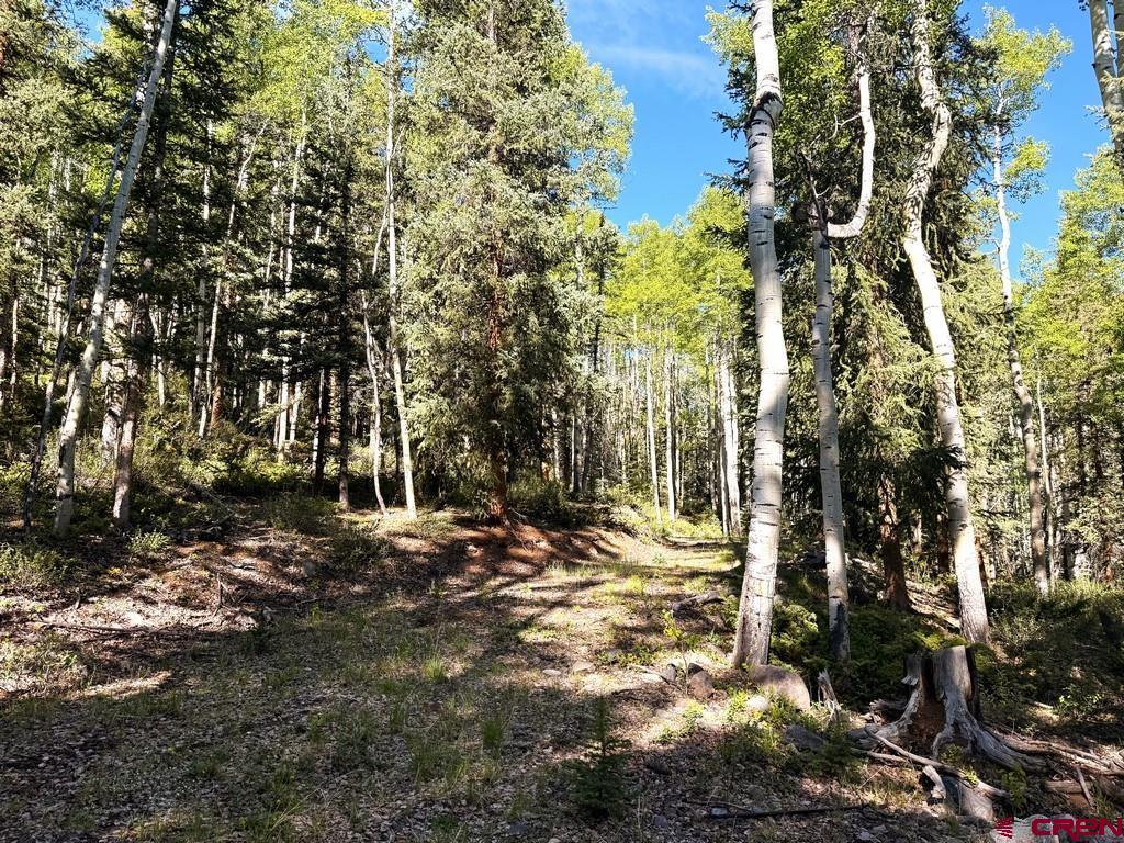 20 Alpine Vista Way Lake City CO 81235