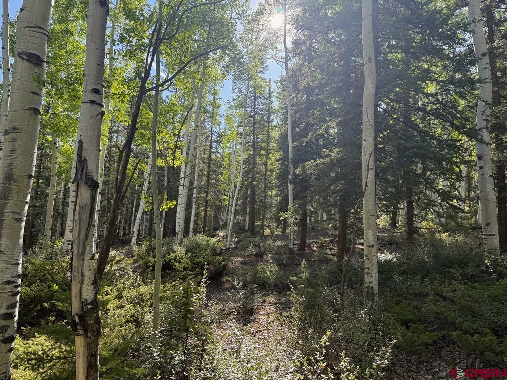 20 Alpine Vista Way Lake City CO 81235