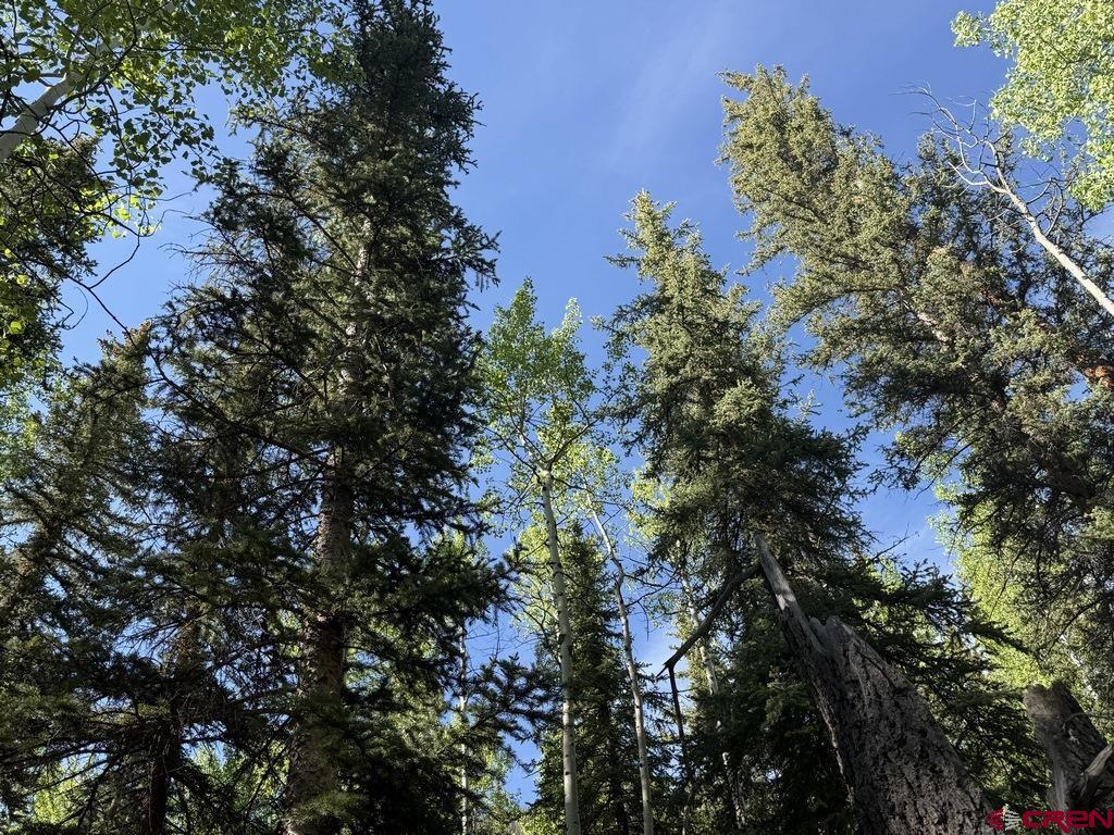 20 Alpine Vista Way Lake City CO 81235