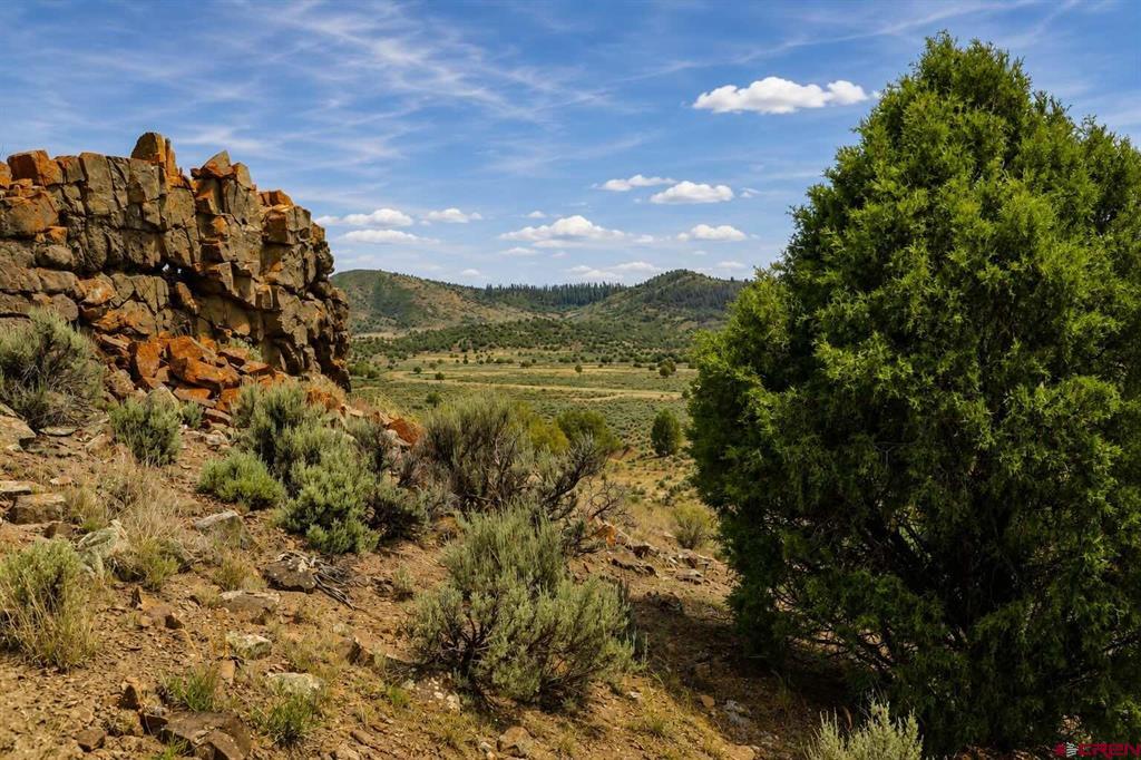 1208 S Rockcliff Circle Pagosa Springs CO 81147