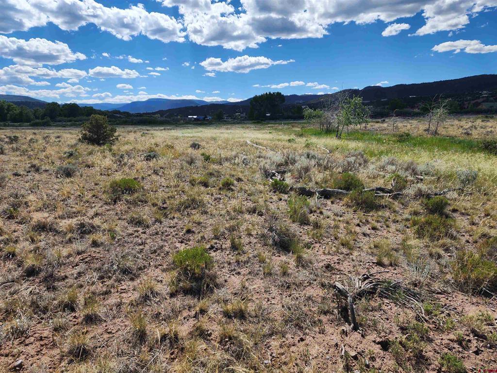 157 Red Feather Road South Fork CO 81154