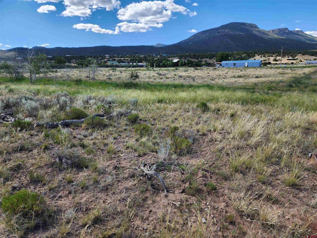 157 Red Feather Road South Fork CO 81154