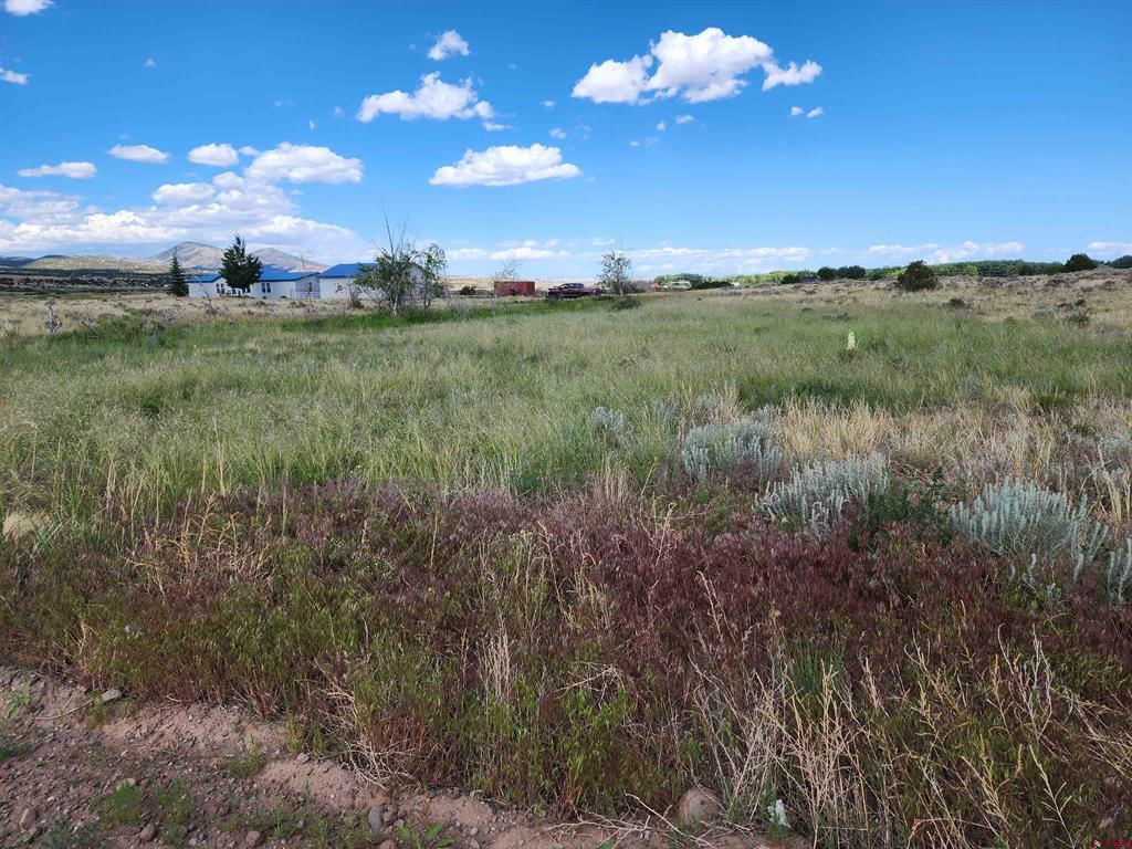157 Red Feather Road South Fork CO 81154