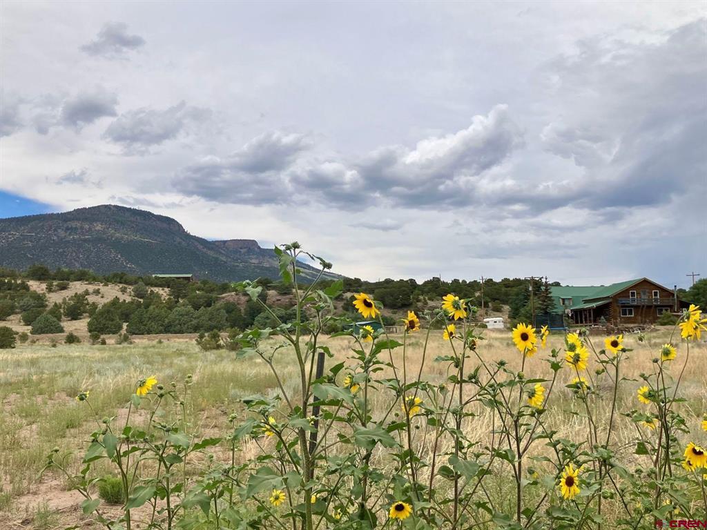 100 Mica Road South Fork CO 81154