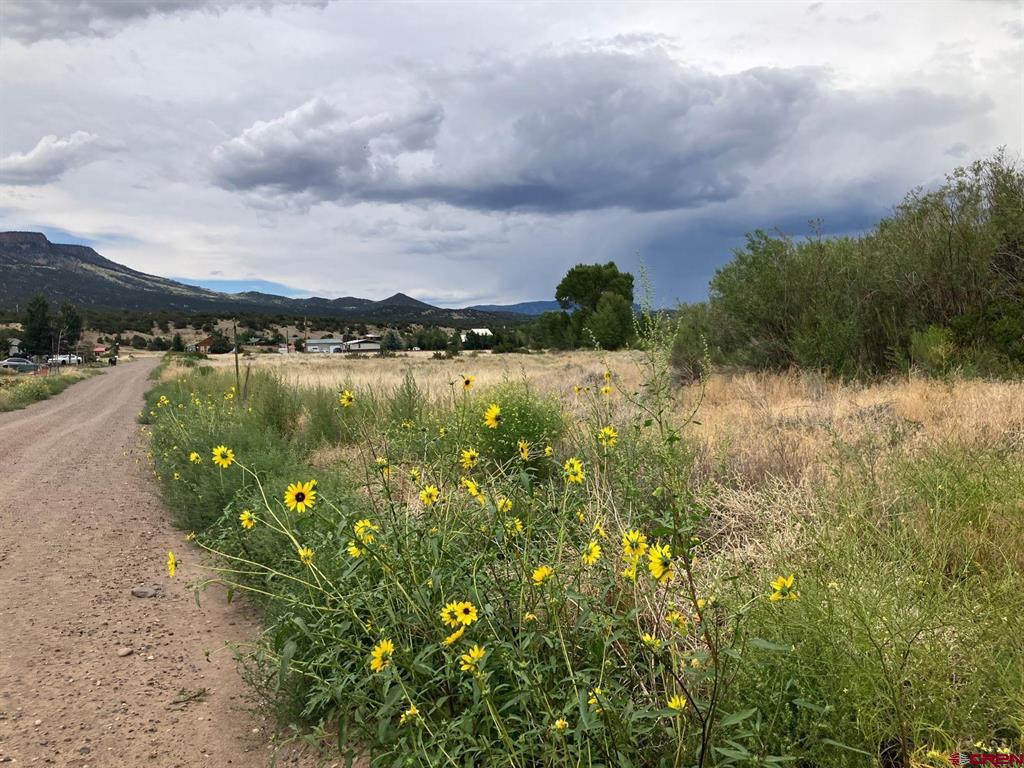 100 Mica Road South Fork CO 81154
