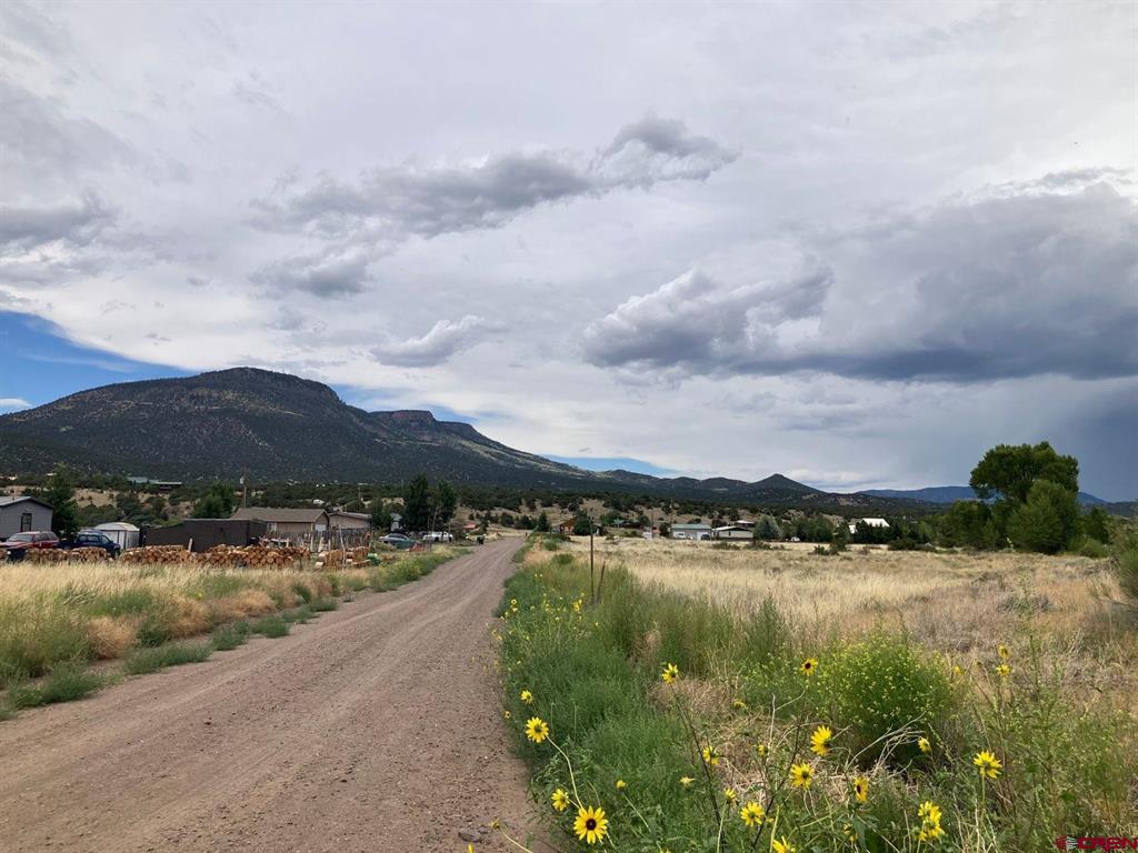 100 Mica Road South Fork CO 81154