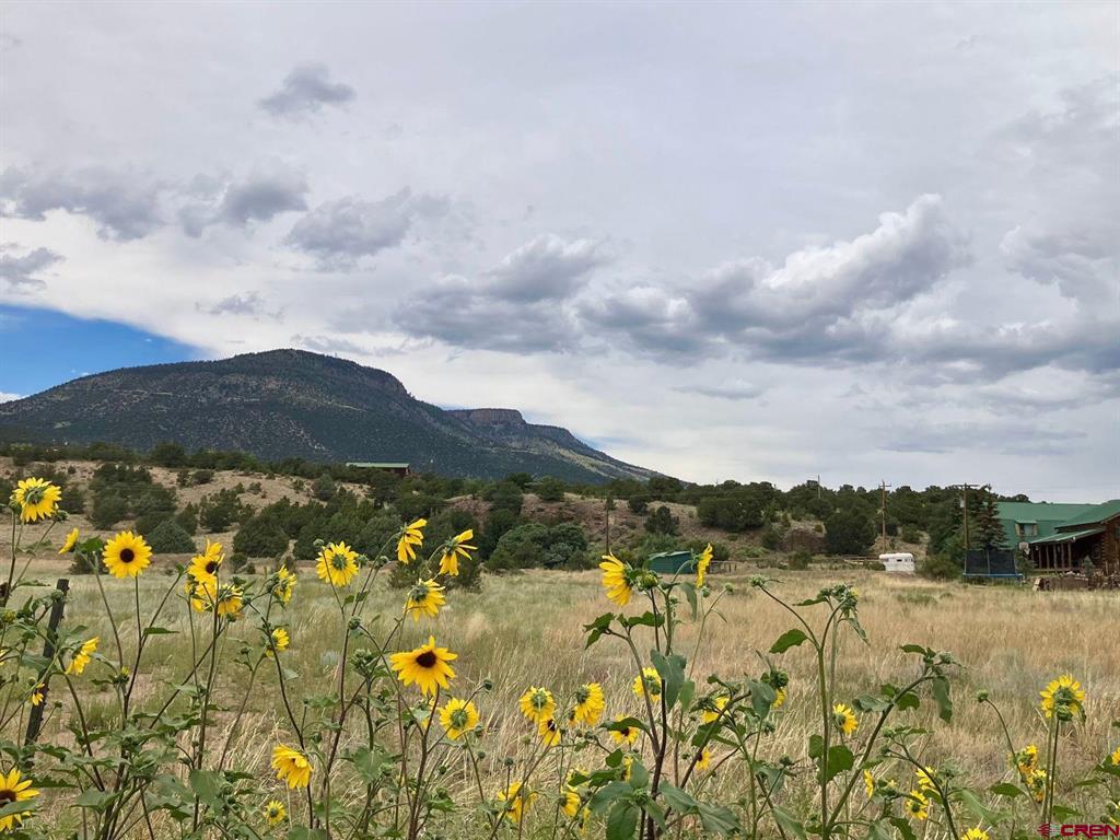 100 Mica Road South Fork CO 81154