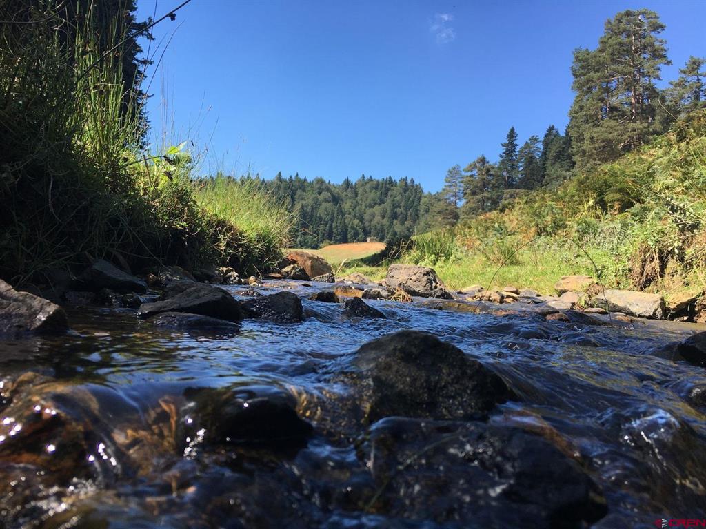 100 Mica Road South Fork CO 81154