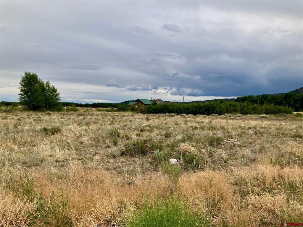 100 Mica Road South Fork CO 81154