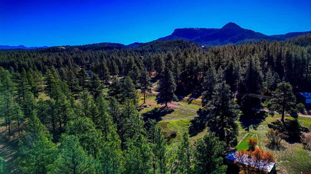 167 Ute Lane Pagosa Springs CO 81147
