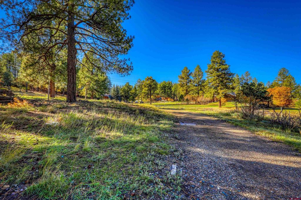 167 Ute Lane Pagosa Springs CO 81147