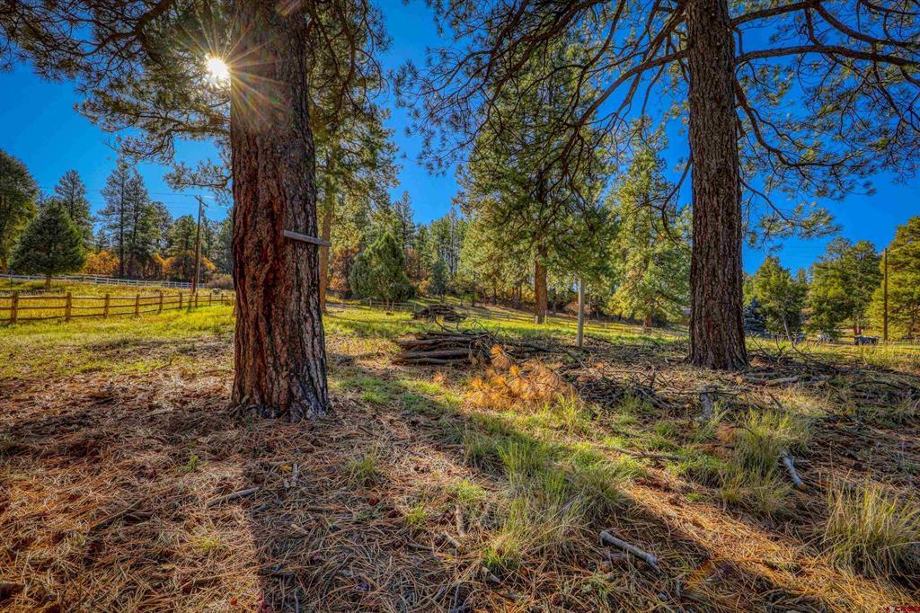 167 Ute Lane Pagosa Springs CO 81147