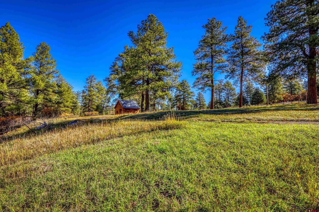 167 Ute Lane Pagosa Springs CO 81147