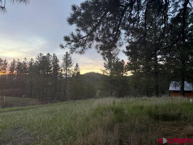 167 Ute Lane Pagosa Springs CO 81147