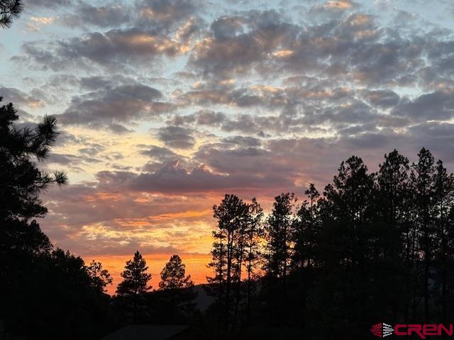 167 Ute Lane Pagosa Springs CO 81147
