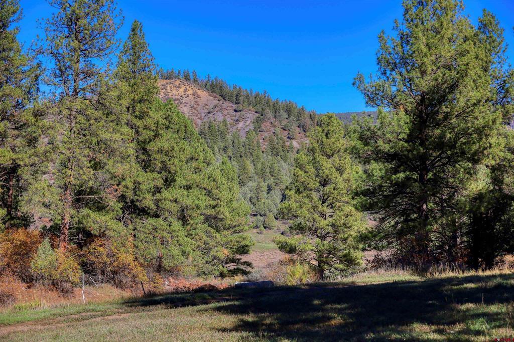167 Ute Lane Pagosa Springs CO 81147