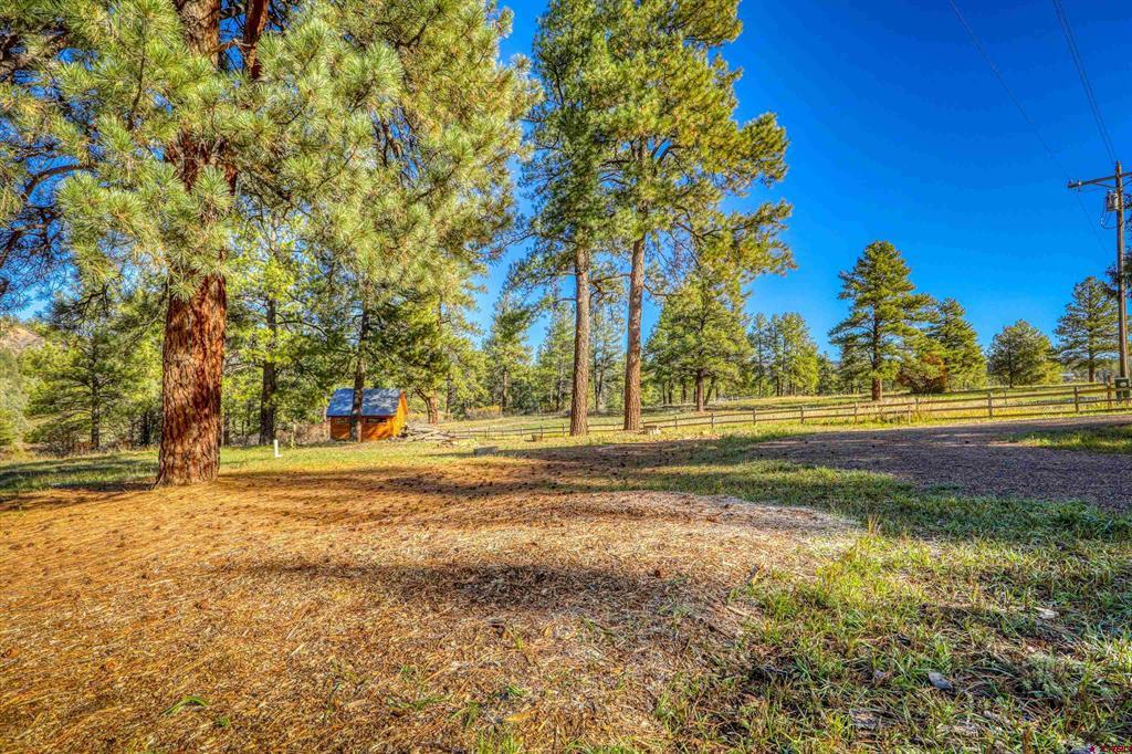 167 Ute Lane Pagosa Springs CO 81147