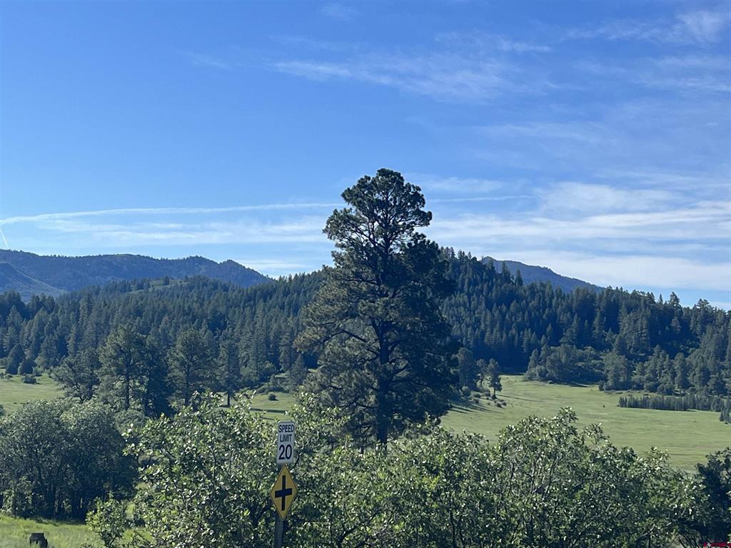 1288 Crowley Drive Pagosa Springs CO 81147