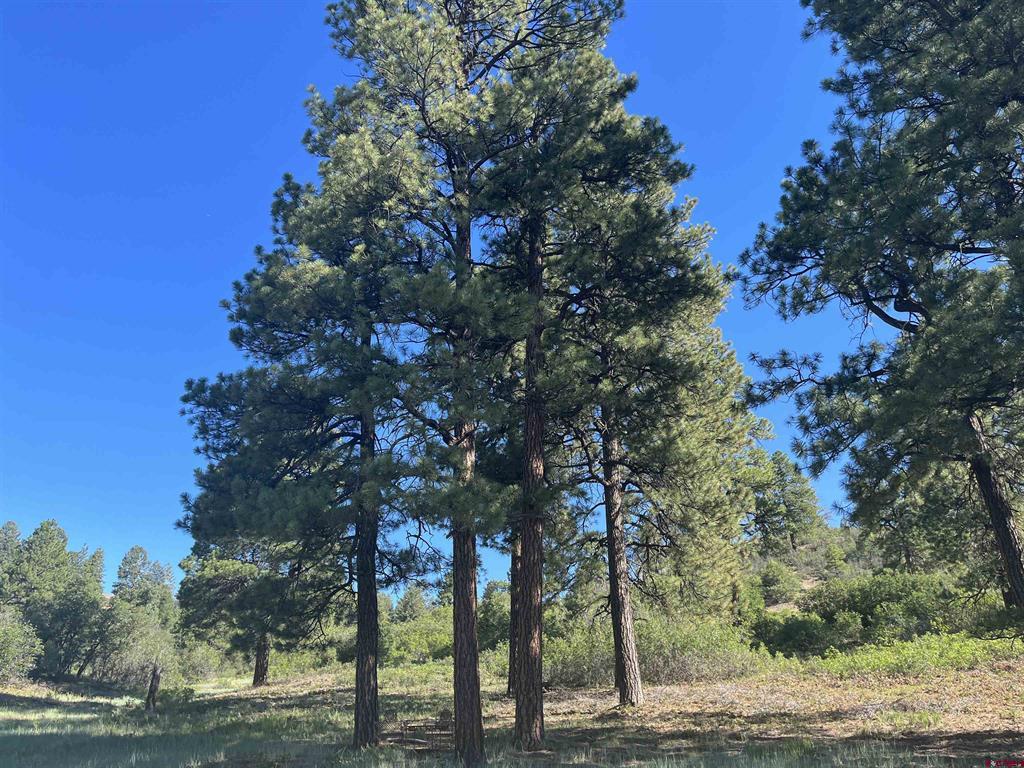 1288 Crowley Drive Pagosa Springs CO 81147