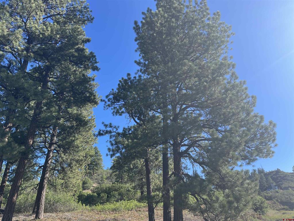 1288 Crowley Drive Pagosa Springs CO 81147