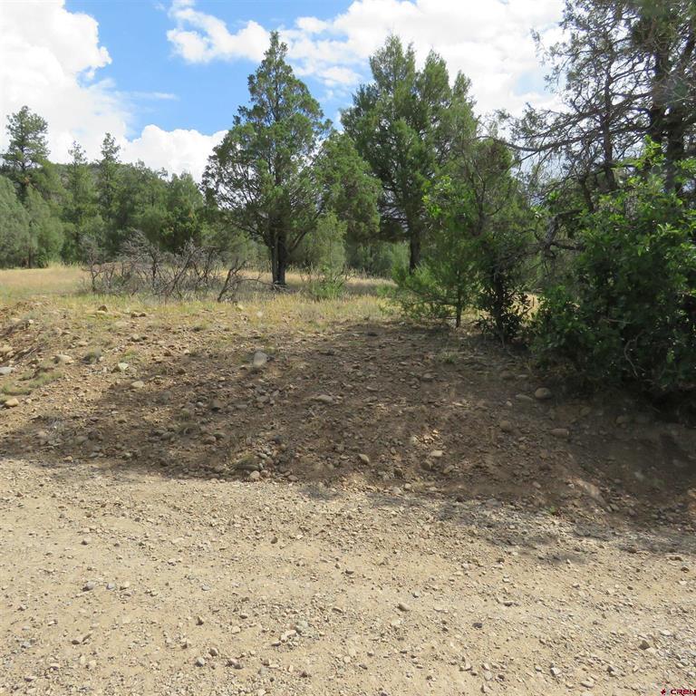Pagosa Springs CO, 147 Calderwood