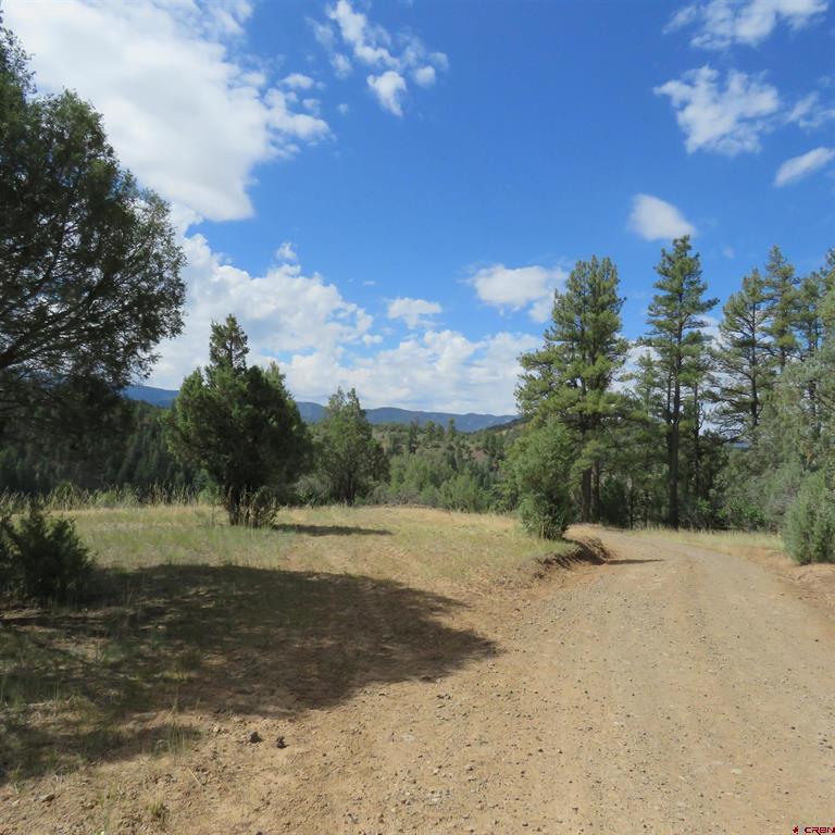147 Calderwood Place Pagosa Springs CO 81147