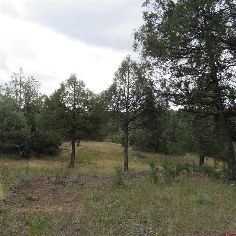 147 Calderwood Place Pagosa Springs CO 81147