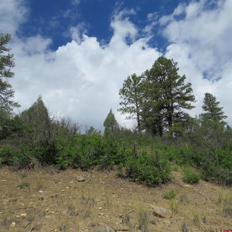 147 Calderwood Place Pagosa Springs CO 81147