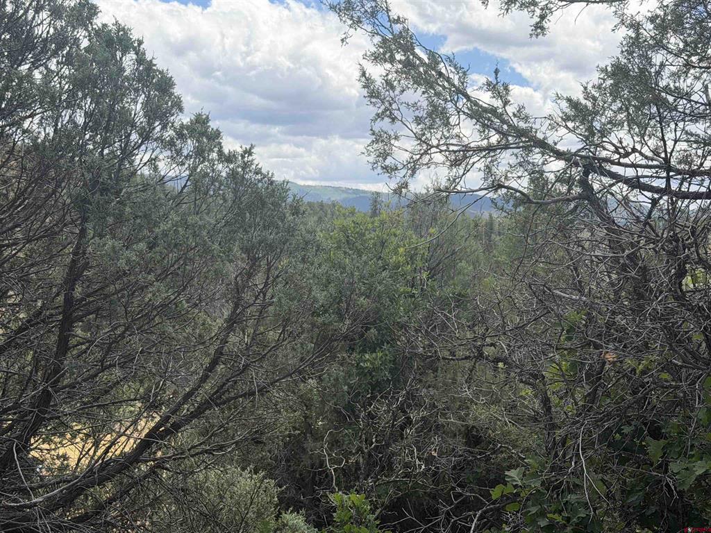 147 Calderwood Place Pagosa Springs CO 81147