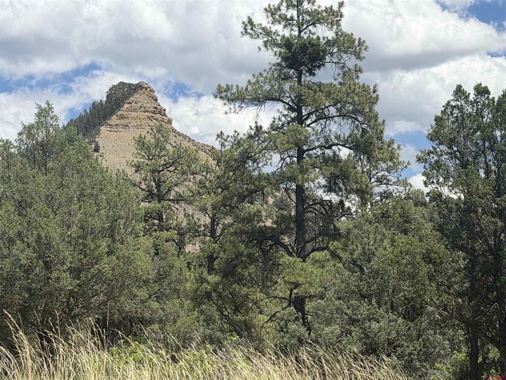147 Calderwood Place Pagosa Springs CO 81147