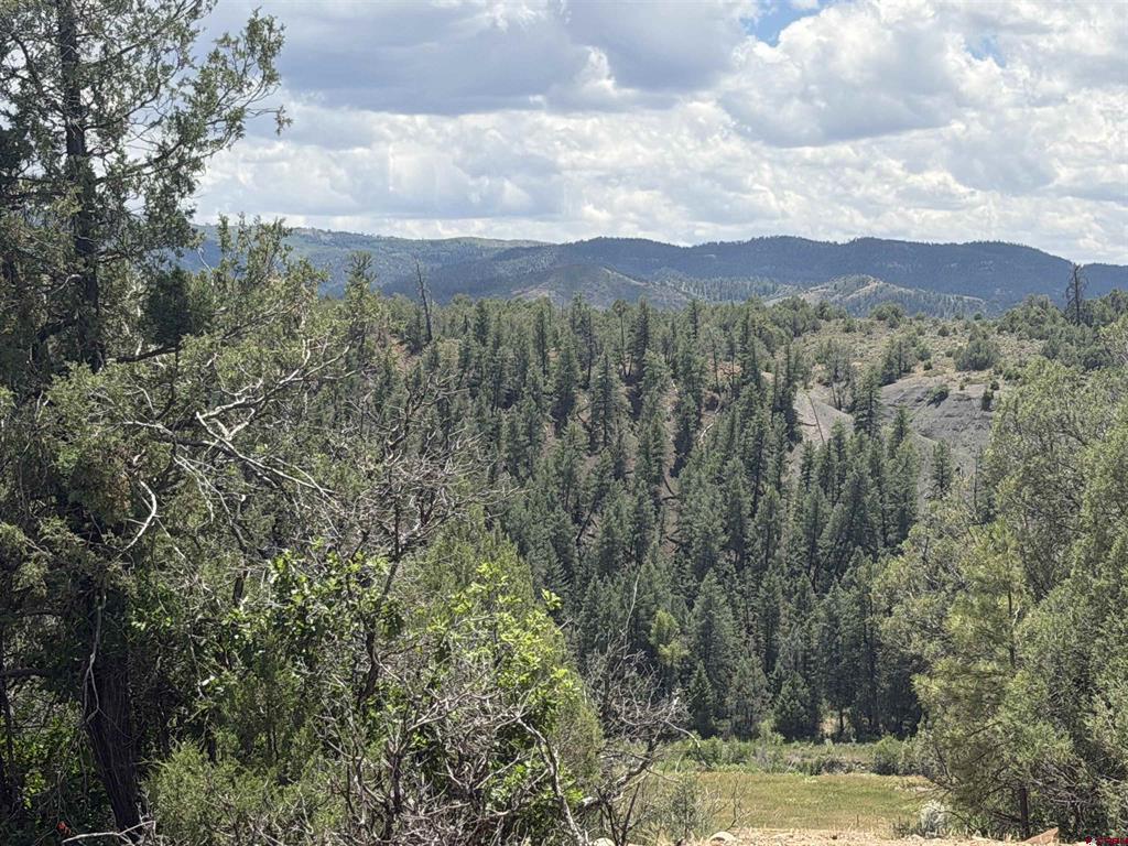 147 Calderwood Place Pagosa Springs CO 81147