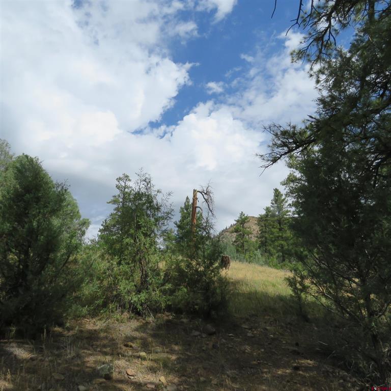 147 Calderwood Place Pagosa Springs CO 81147