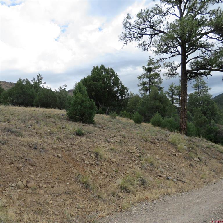 147 Calderwood Place Pagosa Springs CO 81147