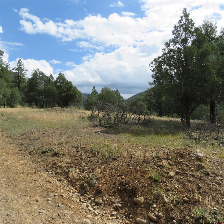 147 Calderwood Place Pagosa Springs CO 81147