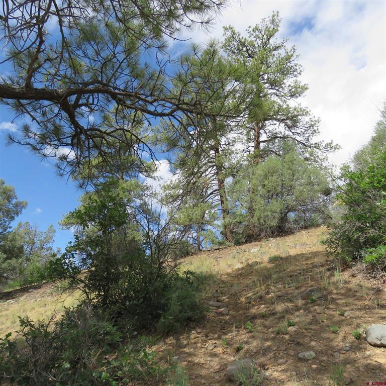 147 Calderwood Place Pagosa Springs CO 81147