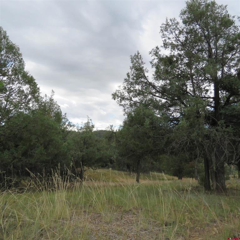 147 Calderwood Place Pagosa Springs CO 81147