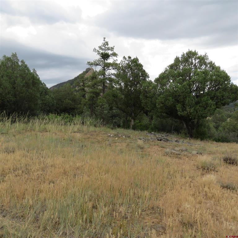 147 Calderwood Place Pagosa Springs CO 81147