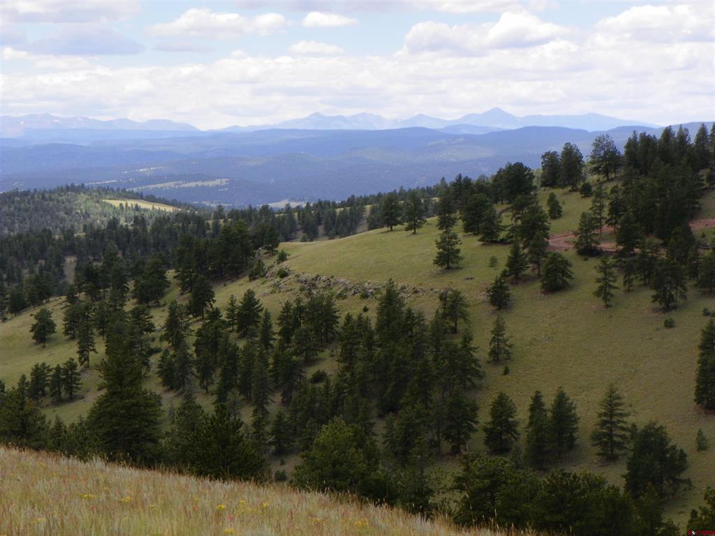 None 33h Saguache CO 81149